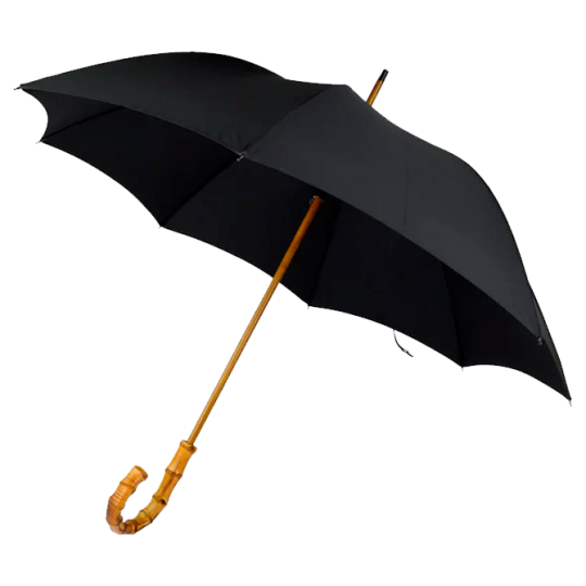 Regenschirm mit Whangee-Bambusgriff – Klassisch & exklusiv
