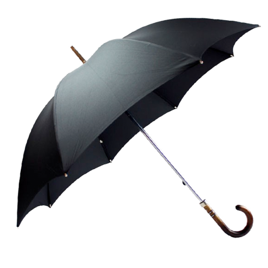 Parapluie Classic canes 1743