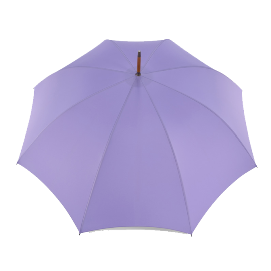 Fox Regenschirm mit poliertem Holzgriff