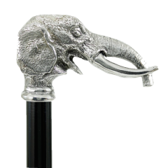 canne elephant