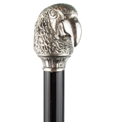 canne perroquet