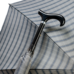 Canne parapluie