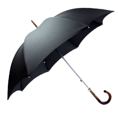 Parapluie Classic canes 1743