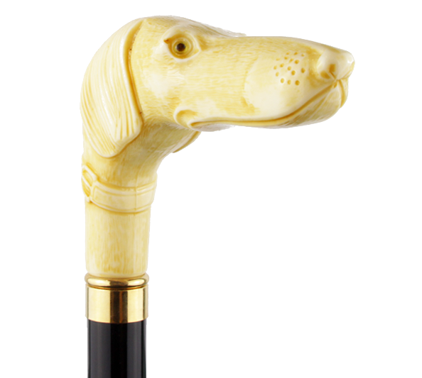 Spazierstock Hundekopf